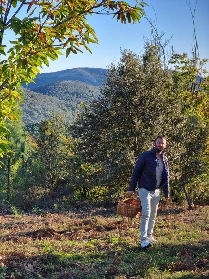 "Les Hauts Du Marquet" - Meuble De Tourisme 5 Etoiles - Gite De Groupe 15 Personnes En Cevennes - Piscine A Debordement - Balneo - Sauna - Nature Saint Jean du Pin Eksteriør bilde